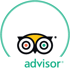 Trip Advisor 2017 Certificate of Excellence logo