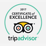 Trip Advisor 2017 Certificate of Excellence logo